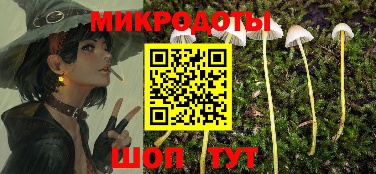 Псилоцибиновые грибы Psilocybine cubensis  Вход с VPN  Ковров 